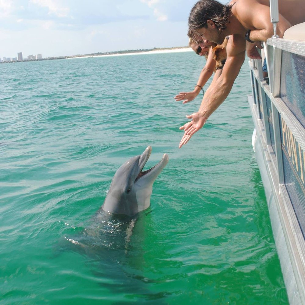 Dolphin Boat Ramp Dolphin Tours