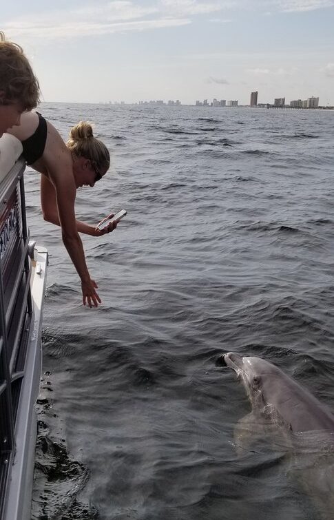 Lower Grand Lagoon Dolphin Tours