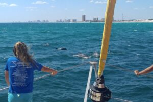 Private Dolphin and Snorkeling Tours